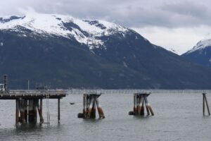 Cruise traffic in Haines could skyrocket under potential deal with major cruise port operator