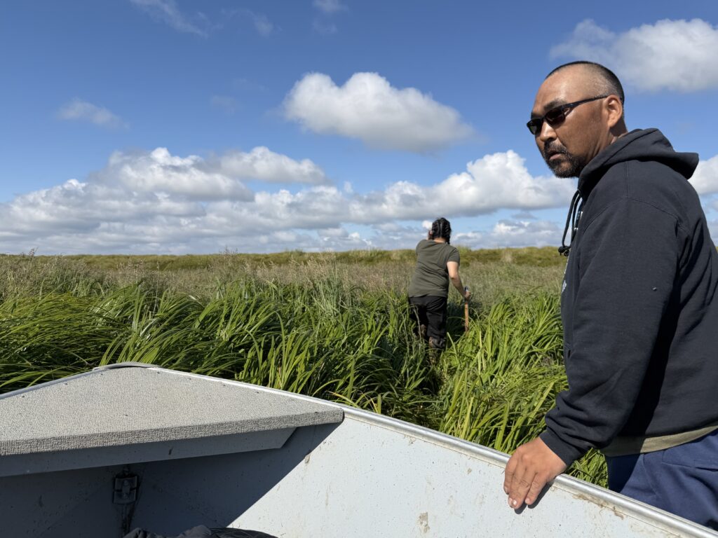 Burt Paul and daughter Caley Paul disembark from their skiff on a grassy slough off the Kugkaktlik River near Kipnuk on Aug. 12, 2026.