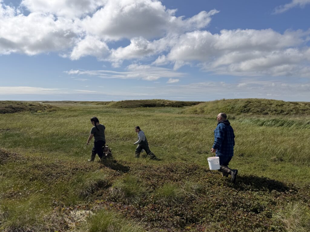 The Paul family picks salmonberries on an expanse of tundra near Kipnuk on Aug. 12, 2026.